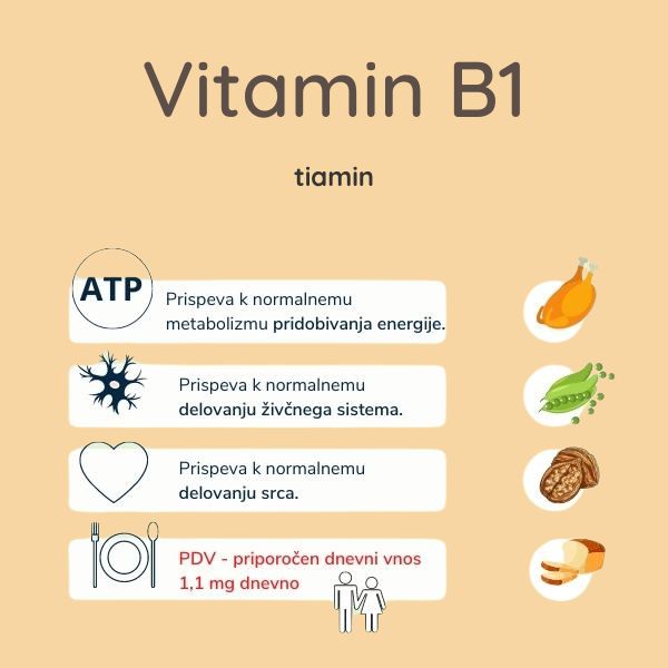 You are currently viewing Vitamin B1
