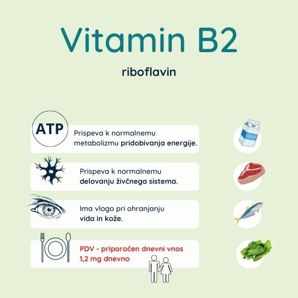 You are currently viewing Vitamin B2